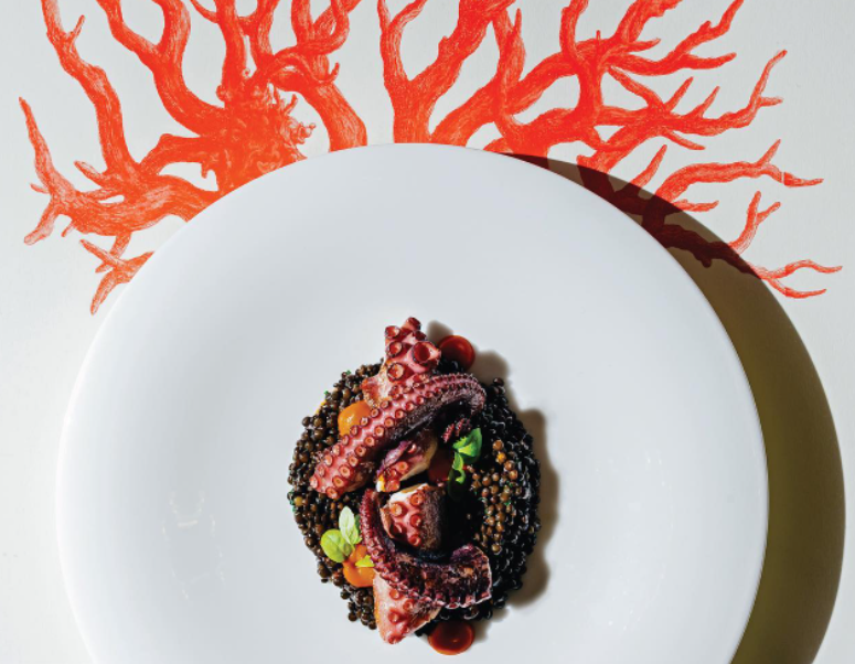 Octopus and lentils on plate with coral illustration.