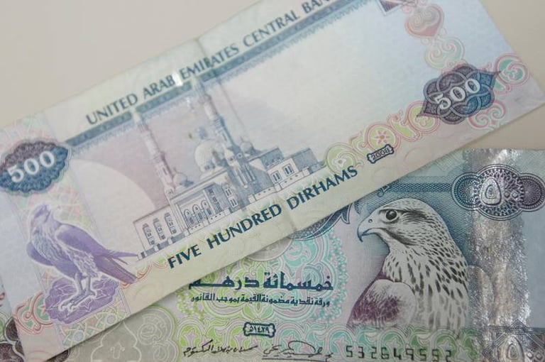 الإمارات تصدر سندات خزينة حكومية مقومة بالعملة المحلية