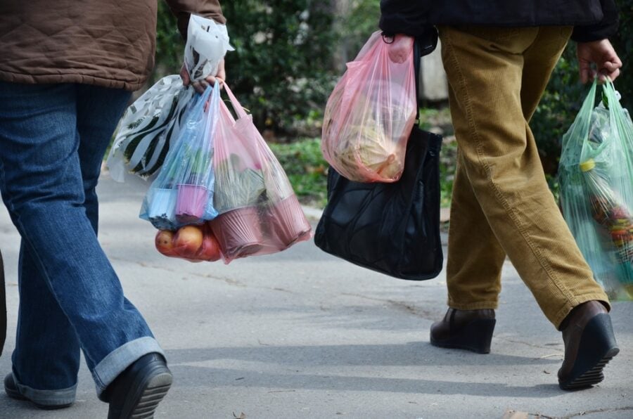People carrying grocery bags with produce on a paved path.