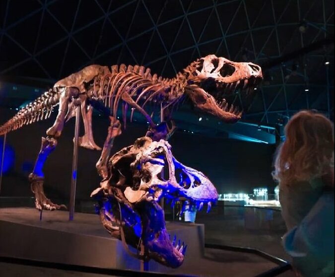 Abu Dhabi to launch Gulf's first natural history museum