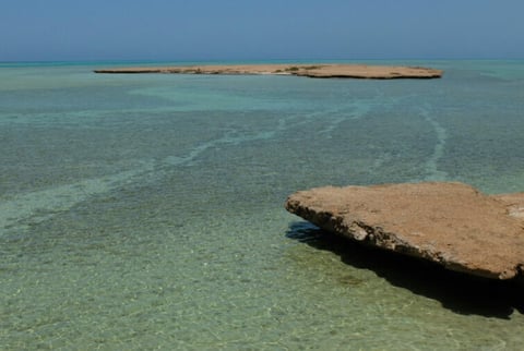 مشروع البحر الأحمر، نيوم، لتسريع السياحة المتجددة إلى السعودية