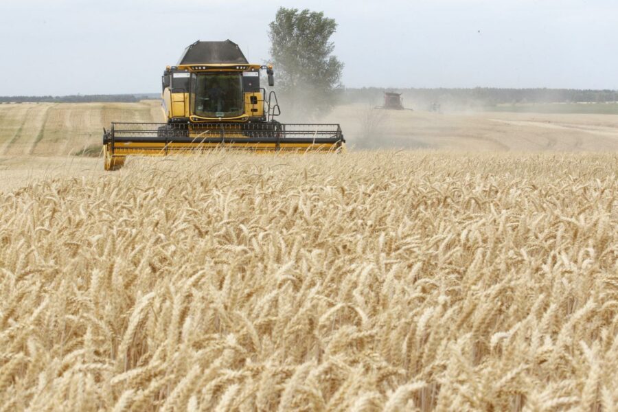 Supply of wheat to Kuwait is safe