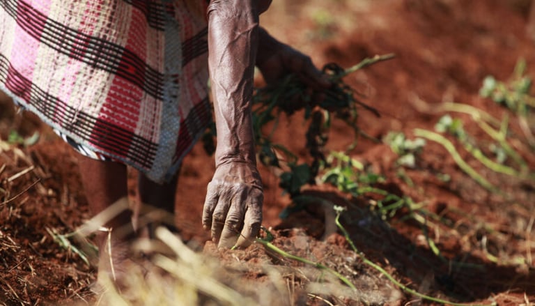 Global food security is in danger.. Beware of famine