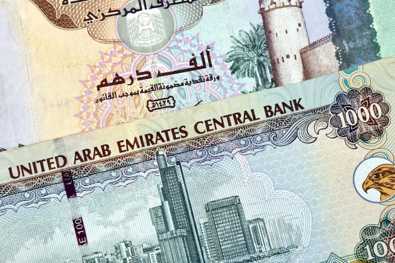 "المركزي" الإماراتي يتوقع نمواً بـ5.4% هذا العام