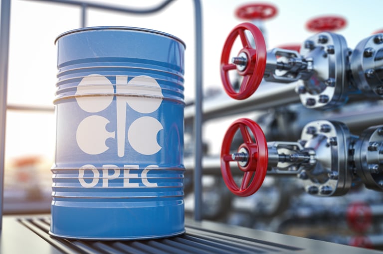 "أوبك" تتوقع ارتفاع الطلب على النفط في النصف الثاني من 2022