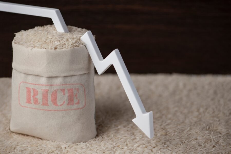 Global food prices are on the rise, so is rice the next victim?