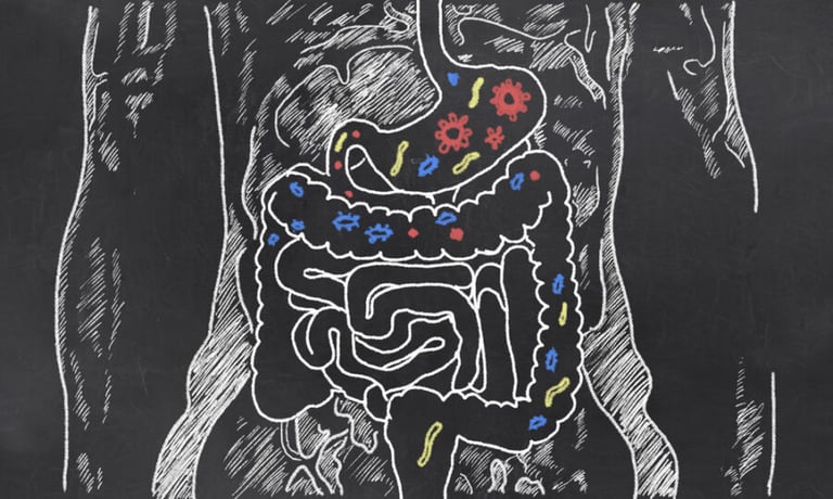 Top tips proven to improve your gut health