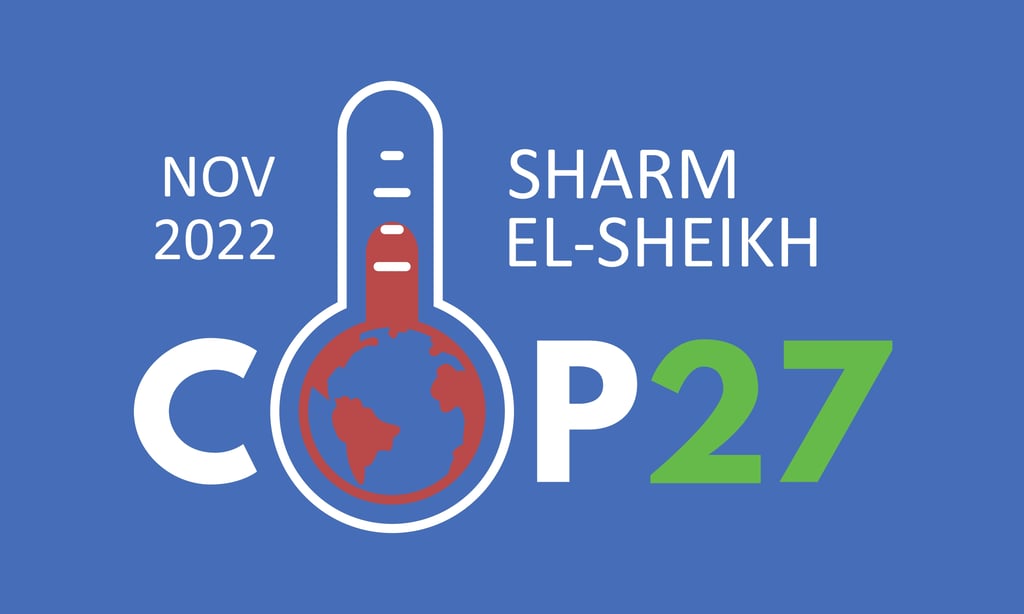 كيف تستعد مصر لمؤتمر COP 27 وما هي القضايا الحاسمة؟