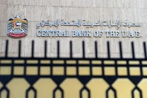 UAE working on initiatives to enable instant payments