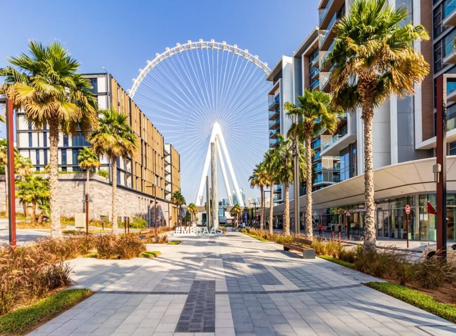 Ferris wheel and walkway lined with palm trees and modern buildings.