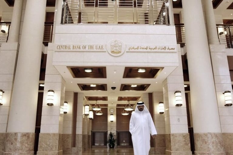 استثمارات مصارف الإمارات ترتفع 19.4 مليار درهم  في 12 شهراً