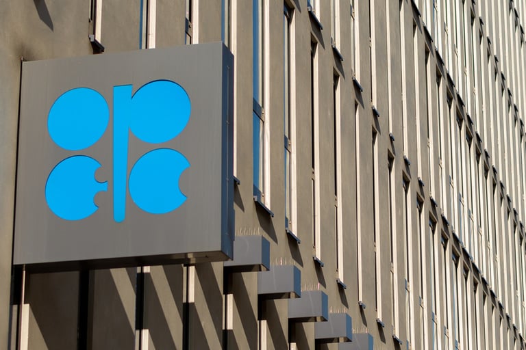 Oil industry requires $12 tn in investments until 2045: OPEC