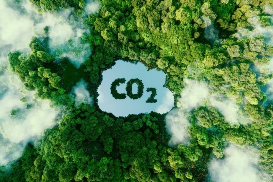 Cloud-shaped lake displaying "CO₂" in a lush forest.