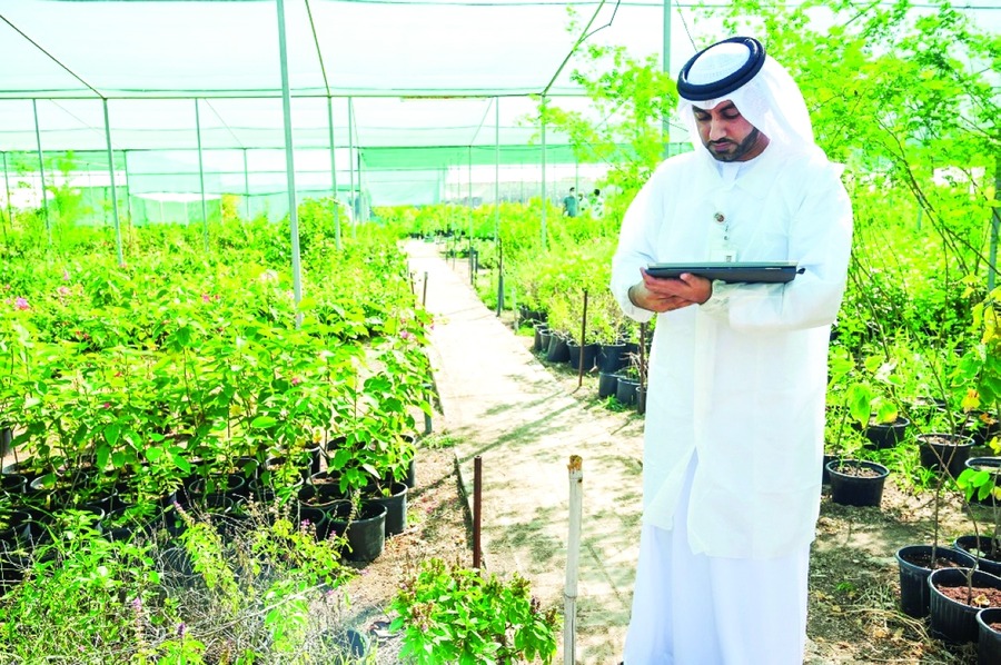 الإمارات: 19.3 مليار درهم مساهمة الزراعة في الناتج المحلي بحلول 2025