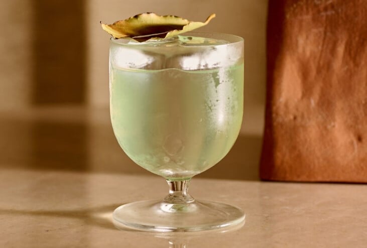Pale green cocktail garnished with dried leaf on beige surface.