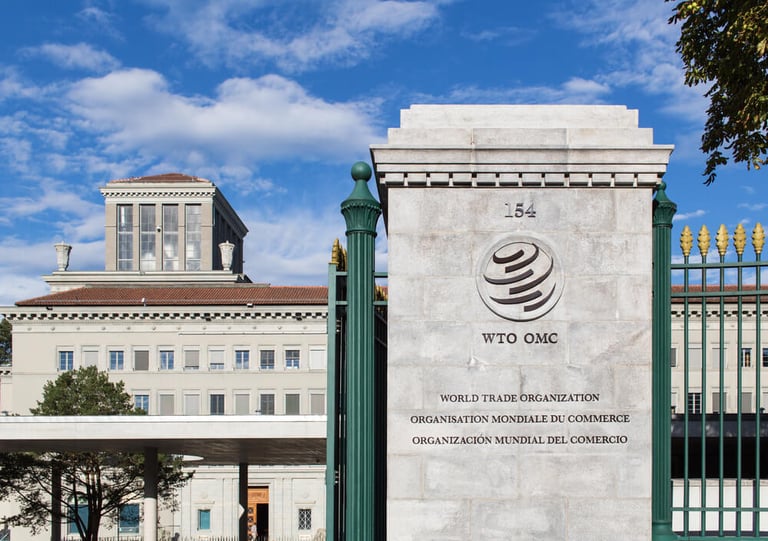 UAE to host WTO’s 13th Ministerial Conference in Q1 2024