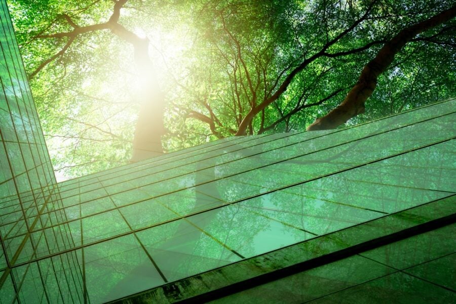 Glass building reflecting green trees with sunlight overhead.