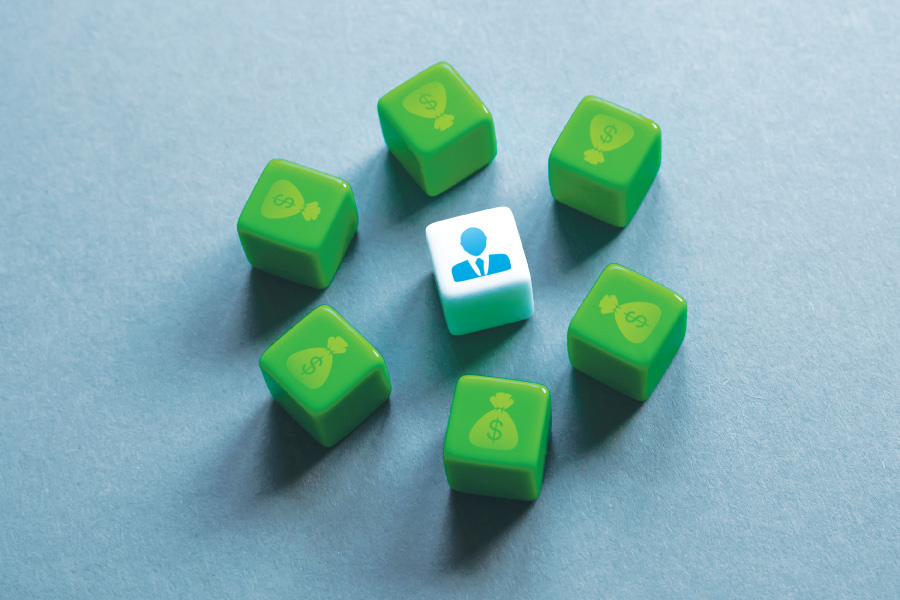 Person icon surrounded by green cubes with money bag icons.