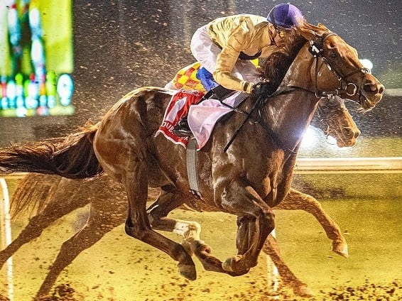 The 2023 Dubai World Cup: A global spectacle of power