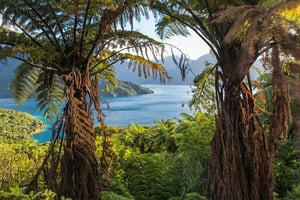 What is Zealandia? Exploring the mysteries behind Earth’s eighth smallest lost continent