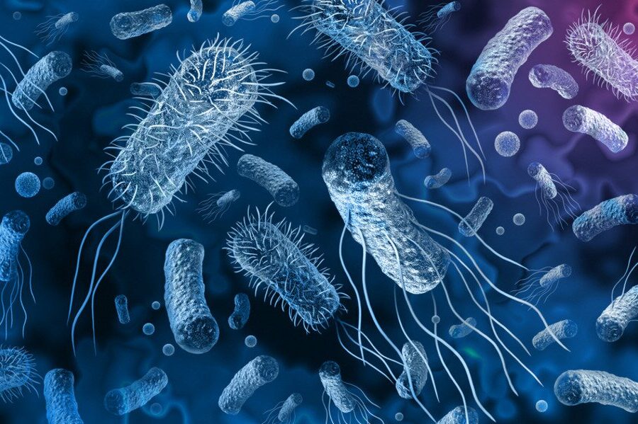 عصر البكتيريا القاتلة المقاومة للأدوية يداهمنا