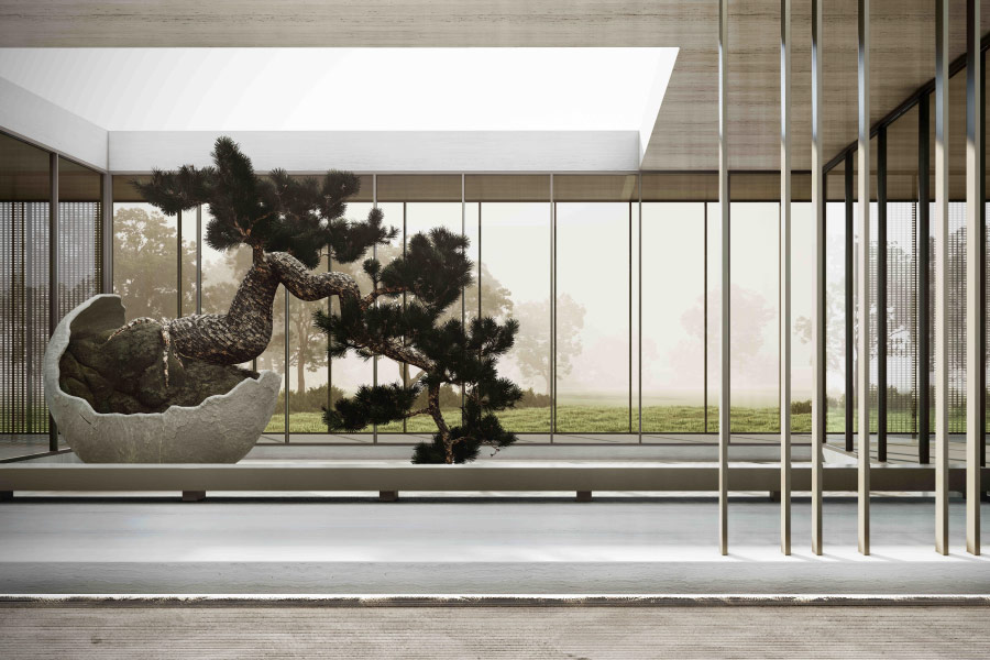 Bonsai tree in a modern minimalist building.