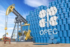 OPEC International Seminar touches on market stability, investment challenges