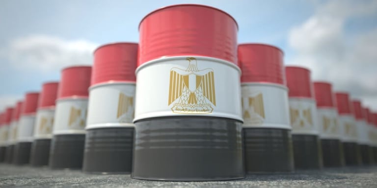 Egypt's new petrochemical refining part of $19 bn 15-year investment project