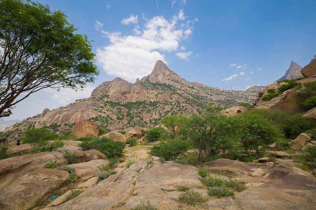 Safeguarding nature in the GCC