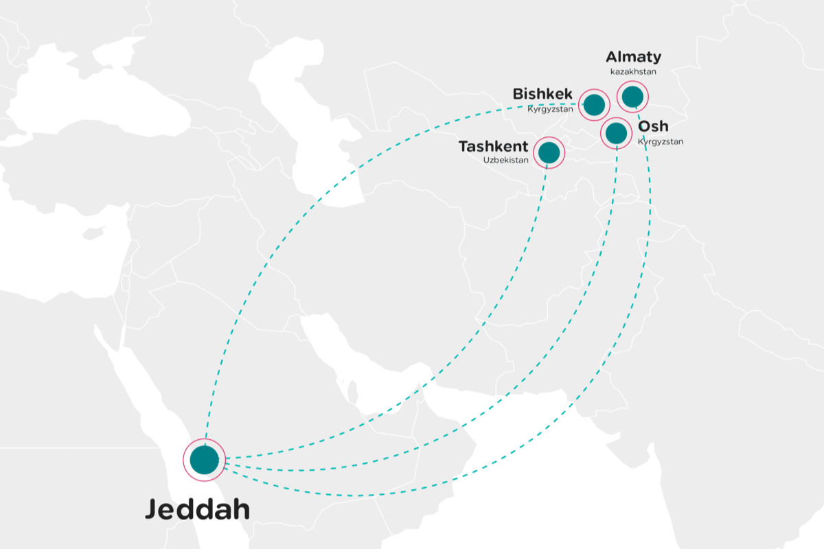 flynas flights