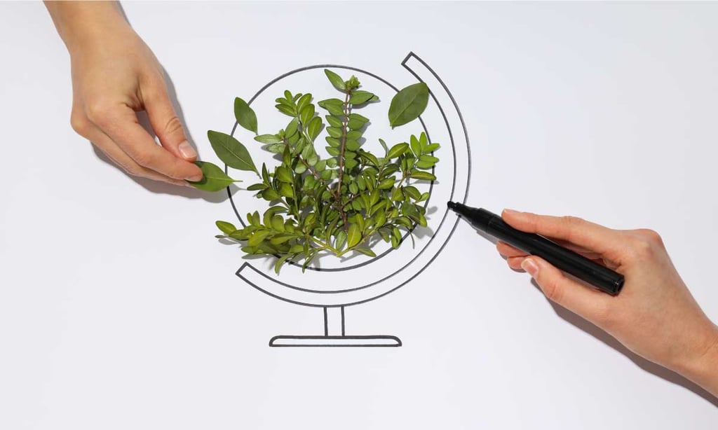 Hands arranging sprigs on a drawn globe with a black marker.