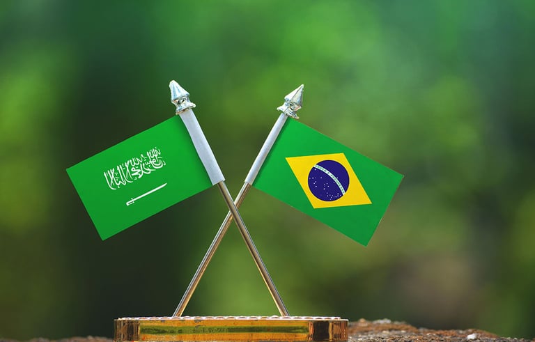 25 investment deals signed between KSA and Brazil