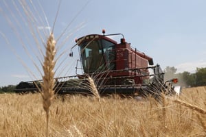 Egypt in talks for Abu Dhabi Bank loan to finance Kazakhstan wheat purchases