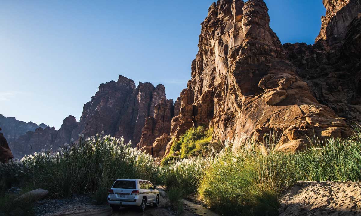 White SUV drives between sandstone cliffs and tall grasses.