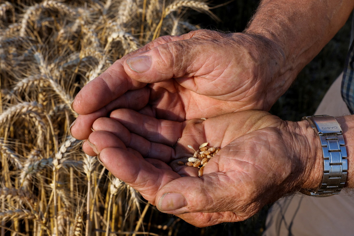 IMF warns of food security threat from fragmented commodity markets