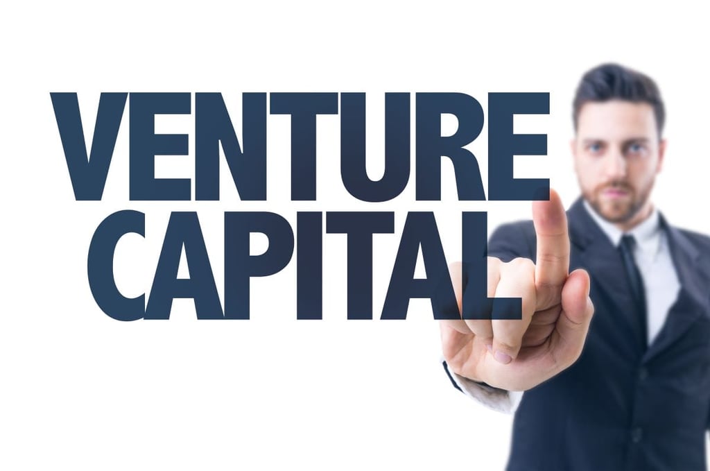 How to convince a venture capitalist to invest in your business