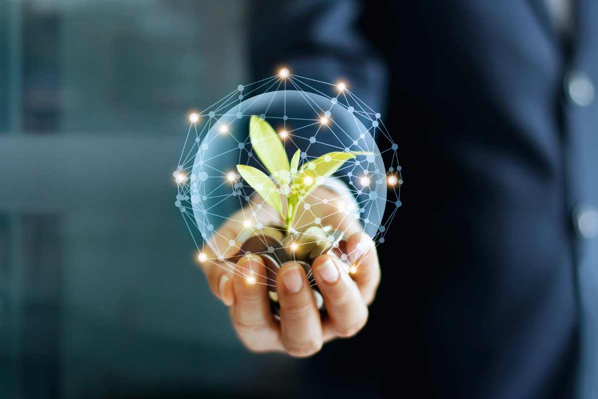 Hands holding a seedling with coins in a glowing sphere.