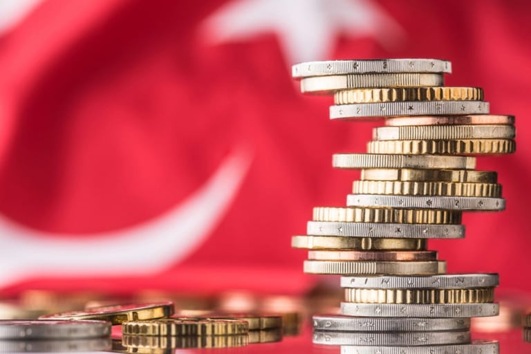 احتياطيات تركيا عند أعلى مستوى منذ 9 سنوات وتوقعات بتسجيل الفائدة 40 في المئة نهاية العام