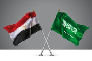 Saudi-Egypt trade surpasses $58 billion in five years