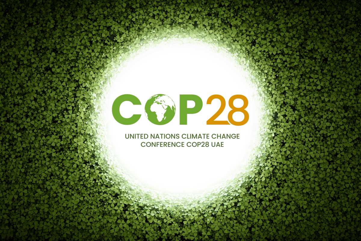 Cop28 Whats Blue Zone And Green Zone