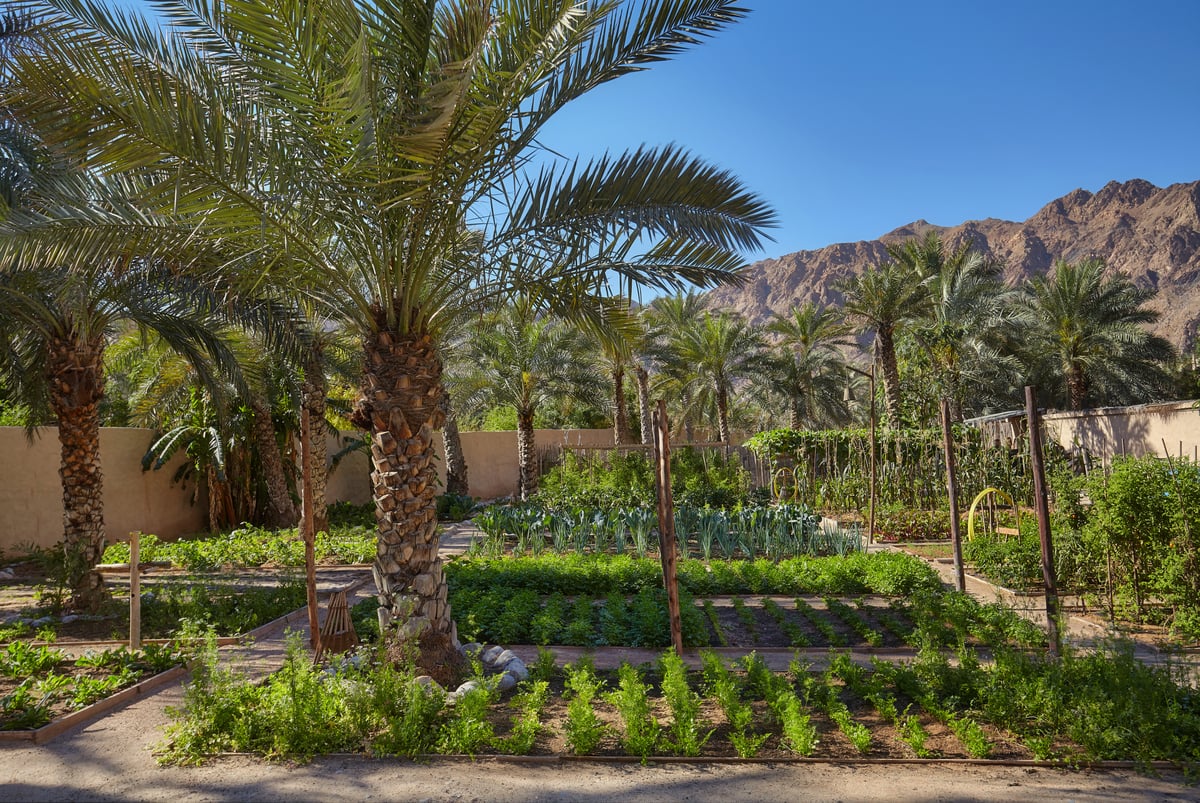 Bay, Organic Garden at the Six Senses Zighy