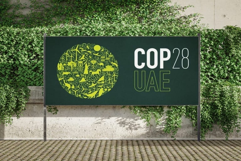 COP28: UAE President unveils $30bn fund to address climate finance gap