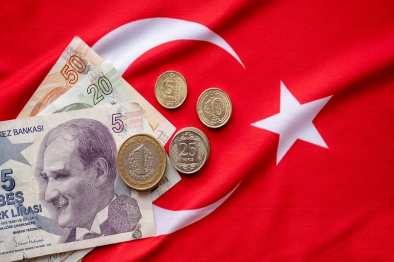 Türkiye's Central Bank urges foreign investors: Invest in Turkish lira bonds for high yields