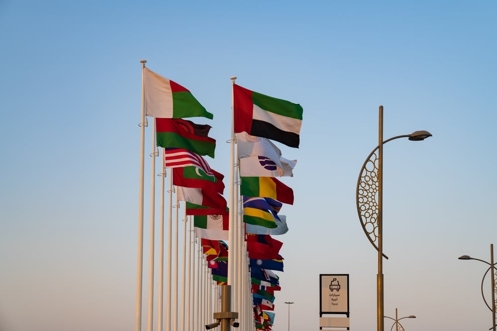 Flags of various nations waving with a taxi sign.