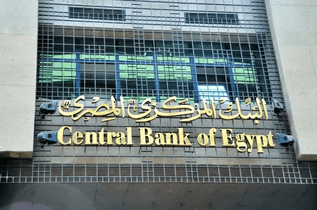 المركزي المصري يرفع أسعار الفائدة 200 نقطة أساس.. هل يمهّد لخفض الجنيه؟