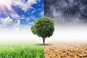 Climate change reached unprecedented levels in 2023: WMO