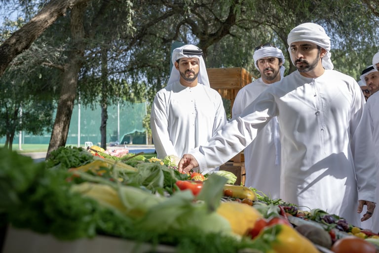 Sheikh Hamdan launches Dubai Farms program to boost emirate's sustainable agriculture sector