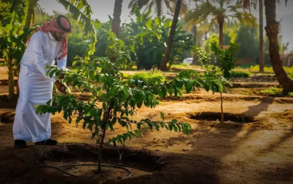 First Saudi Green Initiative Day: Celebrating the Kingdom’s commitment to sustainability