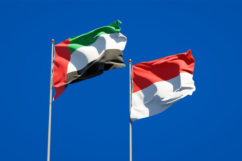 مصرف الإمارات المركزي وبنك إندونيسيا يوقعان اتفاقية لتعزيز استخدام العملات المحلية في المعاملات التجارية البينية