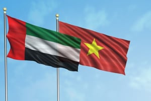 Dubai's investments in Vietnam surpass $76.2 million in 5 years, generating 4,500 job opportunities